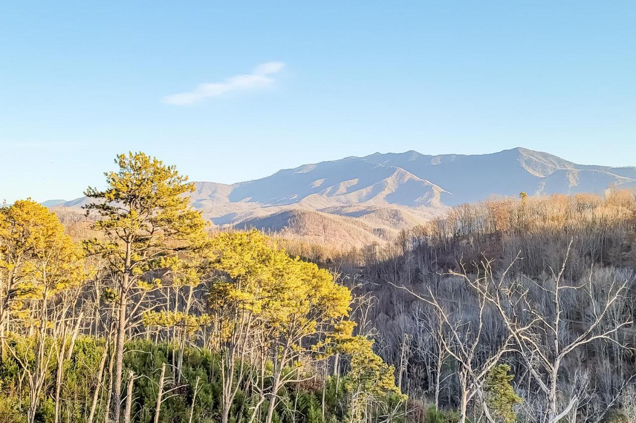 Вілла 3 Lazy Bears Chalet Гатлінбург Екстер'єр фото